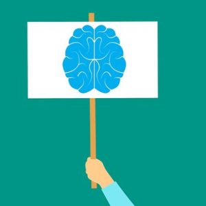 brain illustration