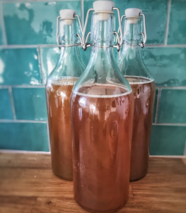 kombucha